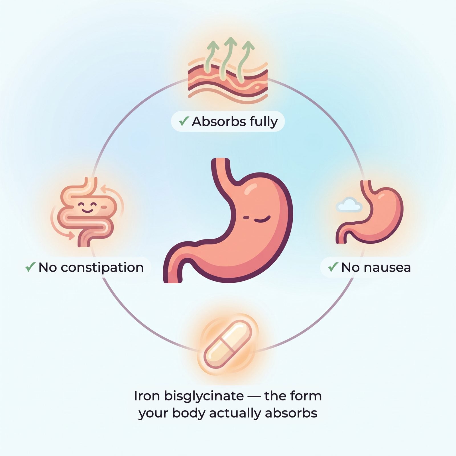 Stomach diagram: iron bisglycinate absorbs fully, no constipation, no nausea
